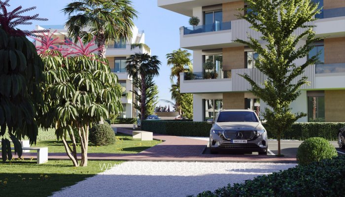 New Build - Apartamento - Torre - Pacheco - Torre-Pacheco - Torre-Pacheco ciudad