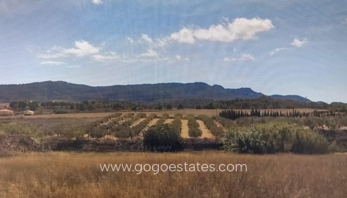 Revente - Finca rústica - Lorca - Corredera