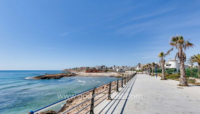 Nieuwbouw - Villa - Orihuela