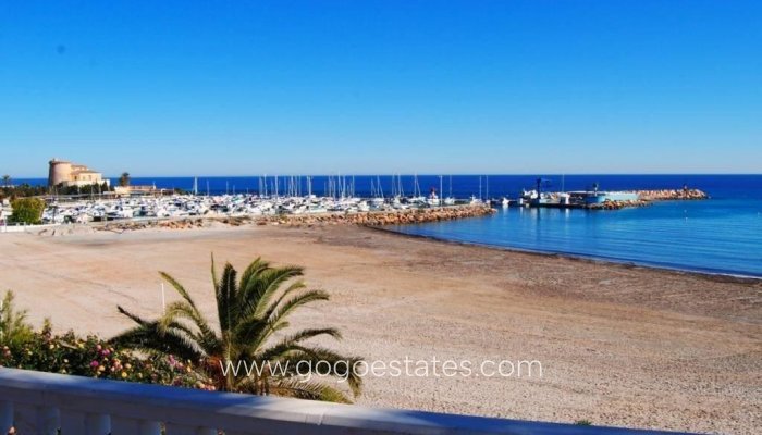 New Build - Villa - Pilar De La Horadada - Torre de la Horadada