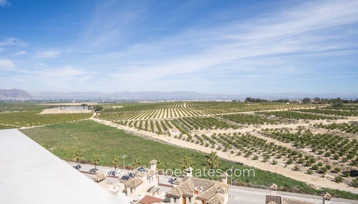 New Build - Villa - Algorfa - La finca golf