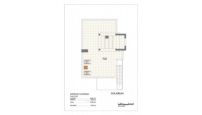 New Build - Apartment / Flat - San Miguel De Salinas - Urbanizaciones