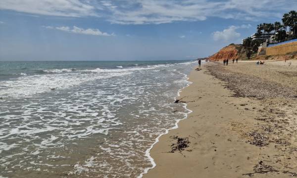 Dehesa Campoamor Beach I Virgen beaches