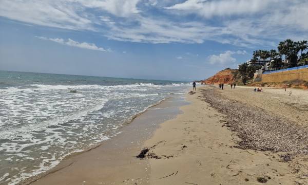 Dehesa Campoamor Beach I Pilar de horadada