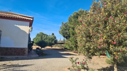 Charming Andalusian Villa with Spacious Plot
