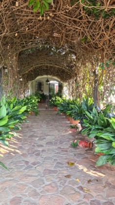 Charming Andalusian Villa with Spacious Plot