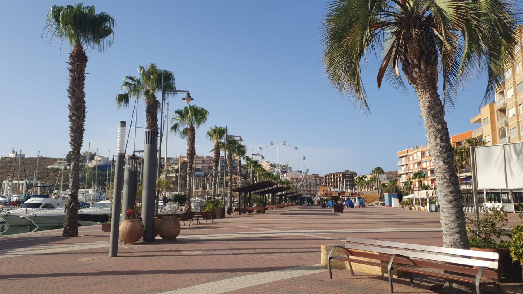 Dutch-Speaking Real Estate Agent in Mazarrón | GOGO Estates